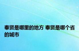 奉贤是哪里的地方 奉贤是哪个省的城市