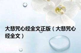 大悲咒心经全文正版（大悲咒心经全文）