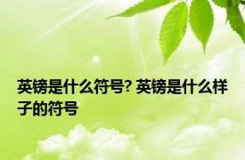 英镑是什么符号? 英镑是什么样子的符号