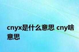 cnyx是什么意思 cny啥意思