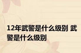 12年武警是什么级别 武警是什么级别