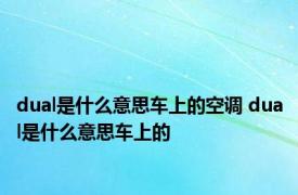 dual是什么意思车上的空调 dual是什么意思车上的