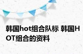 韩国hot组合队标 韩国HOT组合的资料