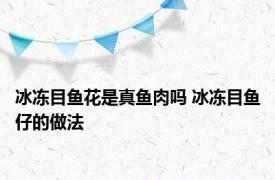 冰冻目鱼花是真鱼肉吗 冰冻目鱼仔的做法