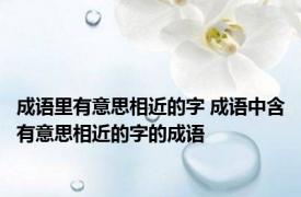 成语里有意思相近的字 成语中含有意思相近的字的成语