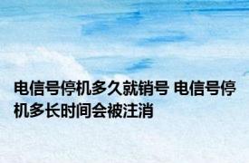 电信号停机多久就销号 电信号停机多长时间会被注消