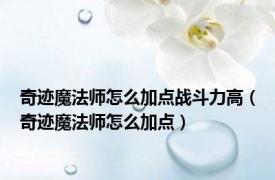 奇迹魔法师怎么加点战斗力高（奇迹魔法师怎么加点）