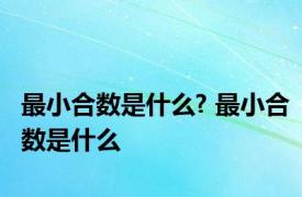 最小合数是什么? 最小合数是什么