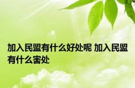 加入民盟有什么好处呢 加入民盟有什么害处