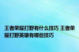 王者荣耀打野有什么技巧 王者荣耀打野英雄有哪些技巧