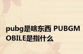 pubg是啥东西 PUBGMOBILE是指什么