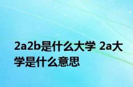 2a2b是什么大学 2a大学是什么意思