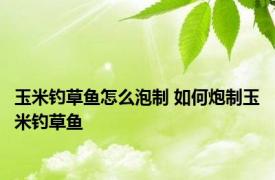 玉米钓草鱼怎么泡制 如何炮制玉米钓草鱼