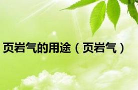 页岩气的用途（页岩气）