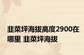 韭菜坪海拔高度2900在哪里 韭菜坪海拔