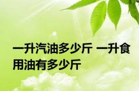 一升汽油多少斤 一升食用油有多少斤