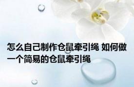 怎么自己制作仓鼠牵引绳 如何做一个简易的仓鼠牵引绳