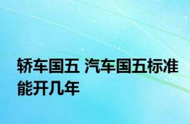 轿车国五 汽车国五标准能开几年