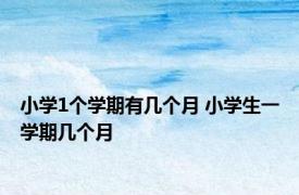 小学1个学期有几个月 小学生一学期几个月