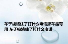 车子被堵住了打什么电话挪车最有用 车子被堵住了打什么电话