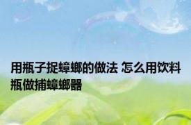 用瓶子捉蟑螂的做法 怎么用饮料瓶做捕蟑螂器