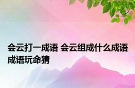 会云打一成语 会云组成什么成语成语玩命猜