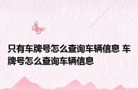 只有车牌号怎么查询车辆信息 车牌号怎么查询车辆信息