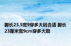 脚长23.5宽9穿多大码合适 脚长23厘米宽9cm穿多大鞋