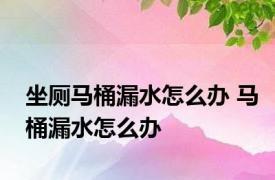 坐厕马桶漏水怎么办 马桶漏水怎么办