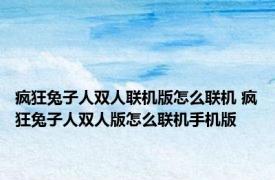 疯狂兔子人双人联机版怎么联机 疯狂兔子人双人版怎么联机手机版