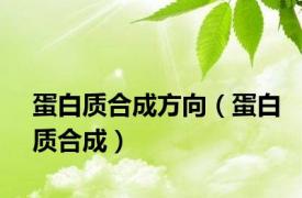 蛋白质合成方向（蛋白质合成）