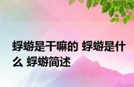 蜉蝣是干嘛的 蜉蝣是什么 蜉蝣简述