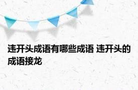 违开头成语有哪些成语 违开头的成语接龙