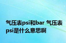 气压表psi和bar 气压表psi是什么意思啊