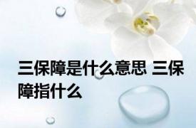 三保障是什么意思 三保障指什么