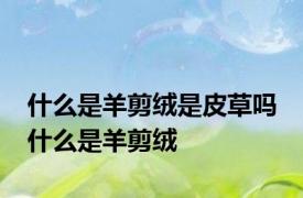 什么是羊剪绒是皮草吗 什么是羊剪绒