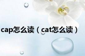 cap怎么读（cat怎么读）