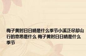 梅子黄时日日晴是什么季节小溪泛尽却山行的意思是什么 梅子黄时日日晴是什么季节