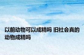 以前动物可以成精吗 旧社会真的动物成精吗