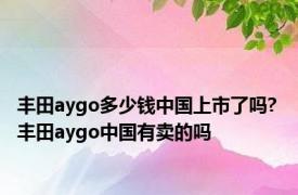 丰田aygo多少钱中国上市了吗? 丰田aygo中国有卖的吗