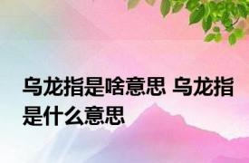 乌龙指是啥意思 乌龙指是什么意思