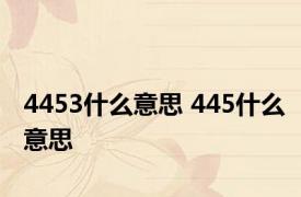 4453什么意思 445什么意思