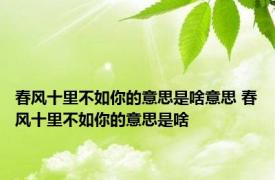 春风十里不如你的意思是啥意思 春风十里不如你的意思是啥