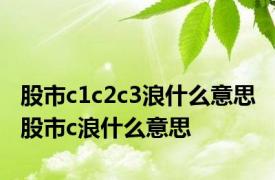 股市c1c2c3浪什么意思 股市c浪什么意思