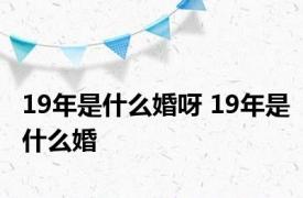 19年是什么婚呀 19年是什么婚