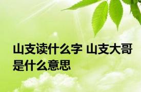 山支读什么字 山支大哥是什么意思