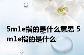 5m1e指的是什么意思 5m1e指的是什么