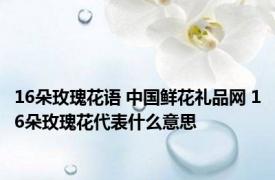 16朵玫瑰花语 中国鲜花礼品网 16朵玫瑰花代表什么意思