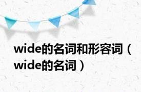 wide的名词和形容词（wide的名词）