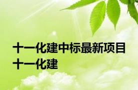 十一化建中标最新项目 十一化建 